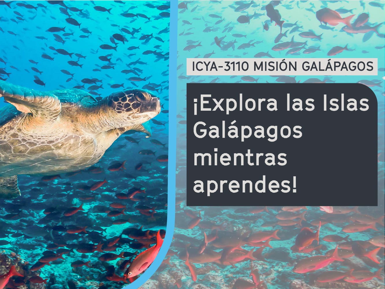 Misión Galápagos