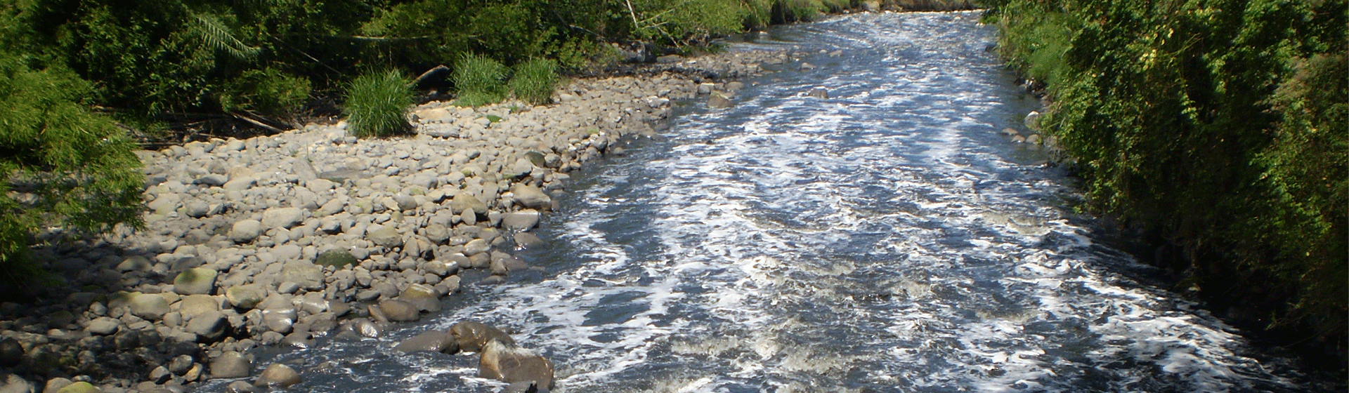 Modelación calidad del agua de ríos y embalses